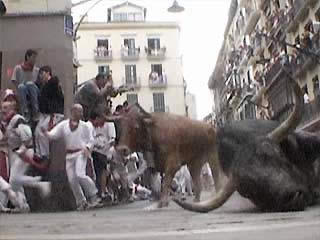 صور Pamplona, Raging Bulls تسلية